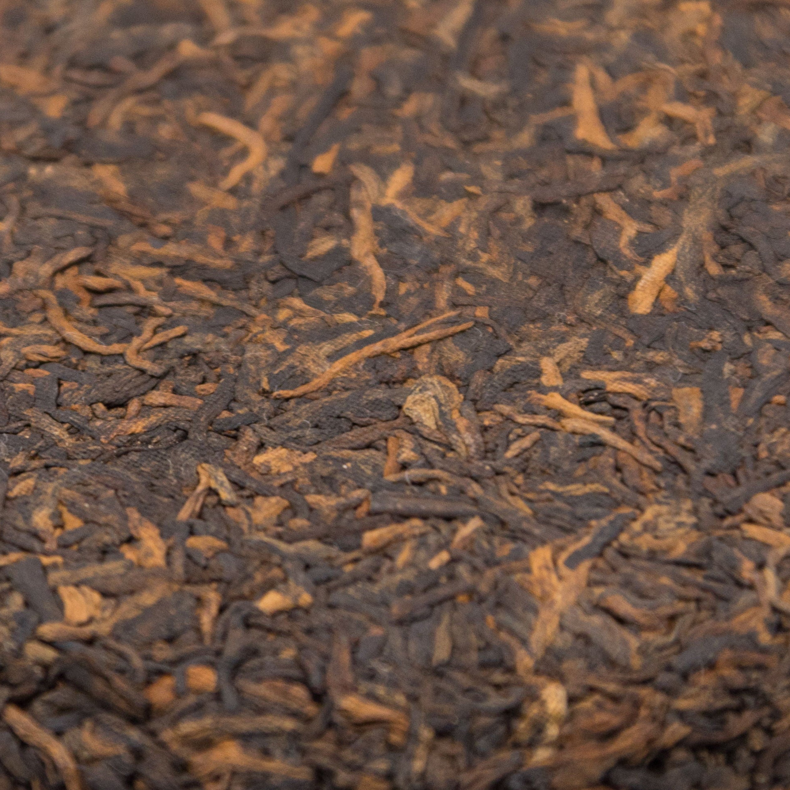 SHU PUERH BADASHAN '23