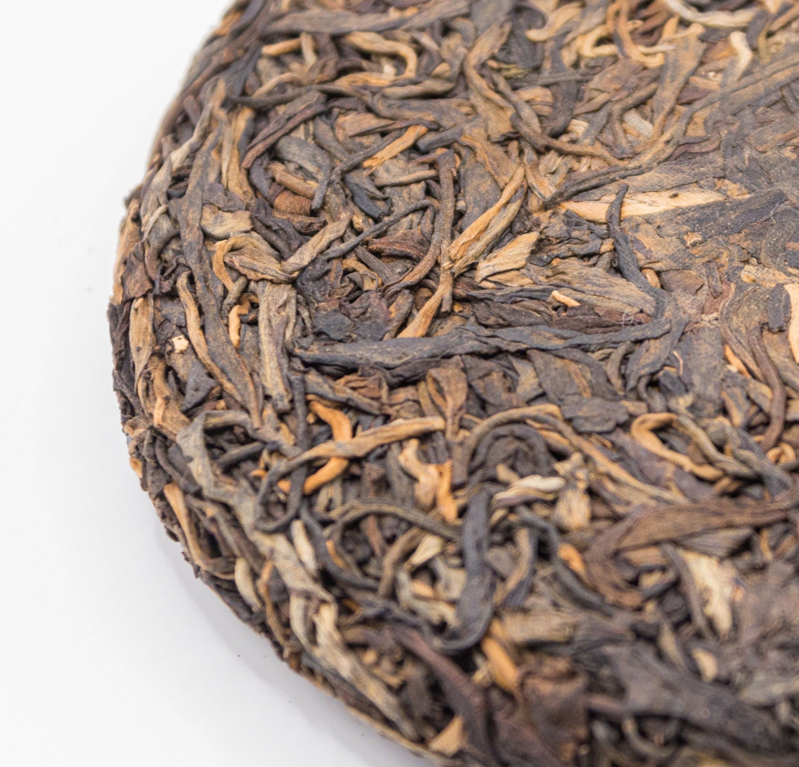 SHENG PUERH GU SHU '21