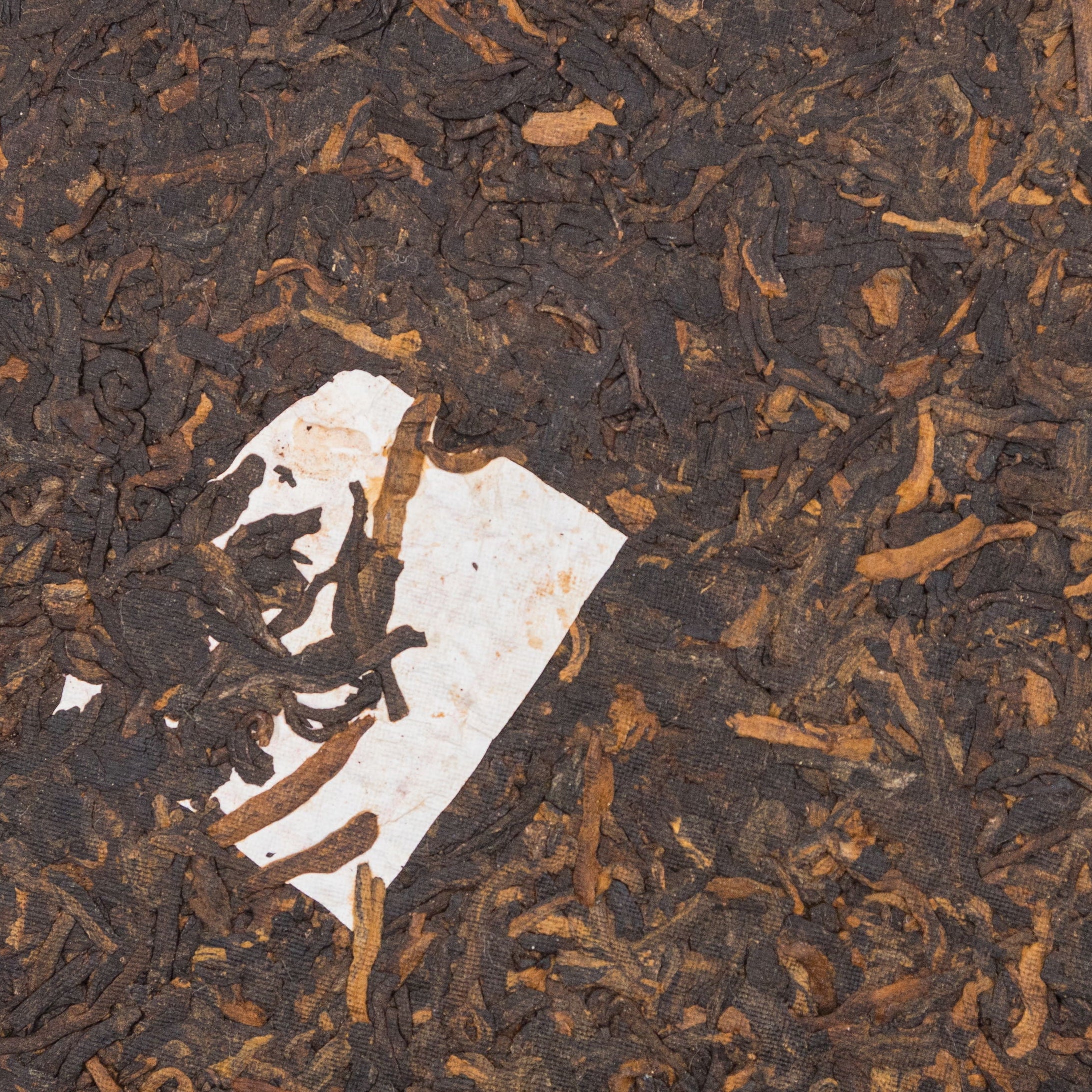 SHU PUERH GU SHU BING DAO