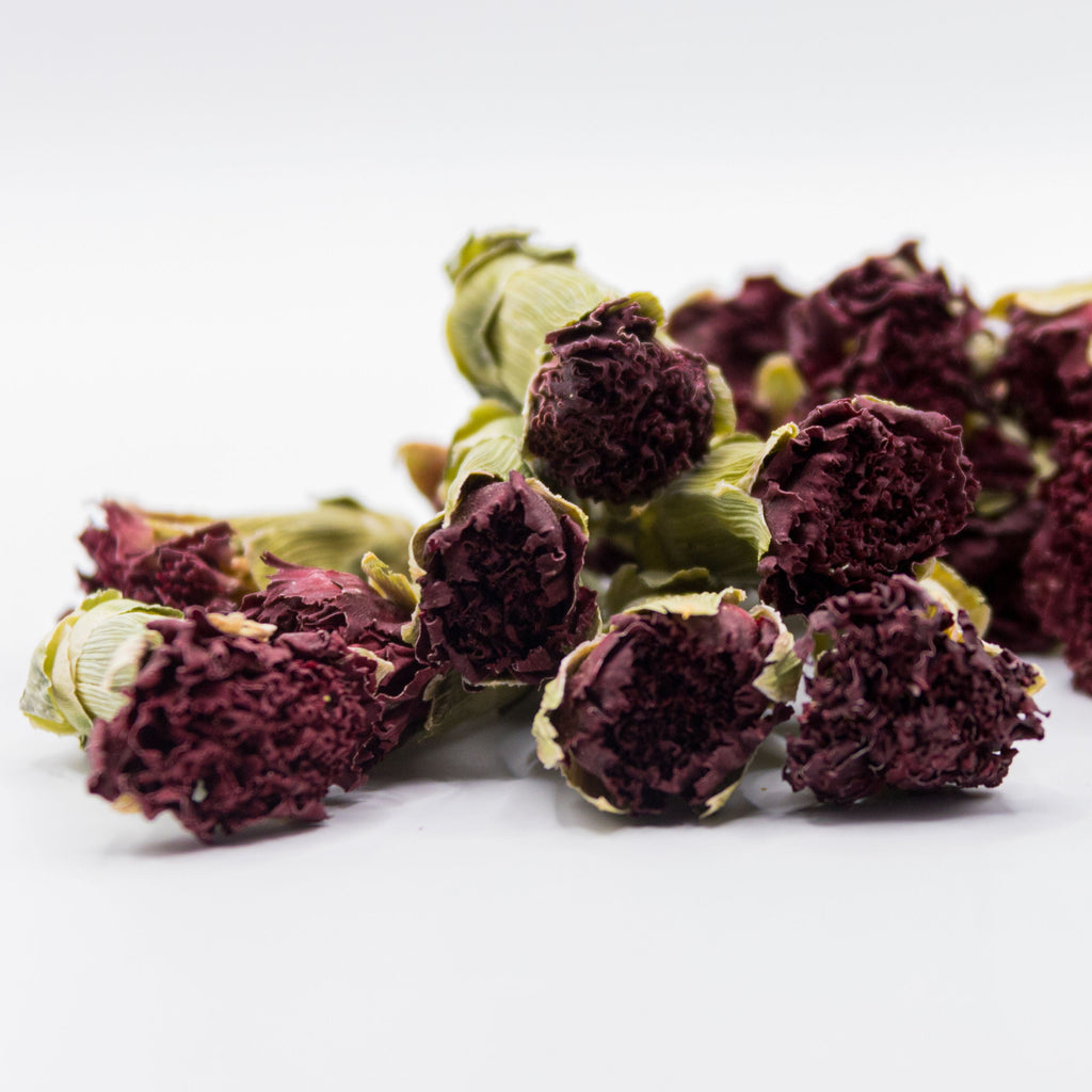 CARNATION